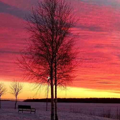  مه تنها ساده نشتم کنج خونه عشق تو مهربان دیوونه می کرد